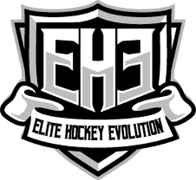 www.elitehockeyevolution.com-68864304640791